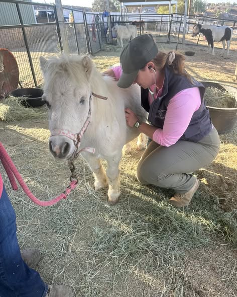 Office and outreach coordination